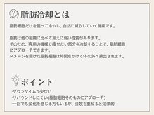 サロン ルイス アディクト(salon Lewis Addict)/脂肪冷却
