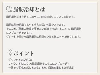 サロン ルイス アディクト(salon Lewis Addict)/脂肪冷却