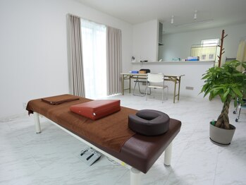 オリエンタル鍼灸マッサージ治療院の写真/【腰痛・足の痛み・しびれを改善】筋肉の構造と神経の走行を考え施術いたします。繰り返すつらい痛みにも◎