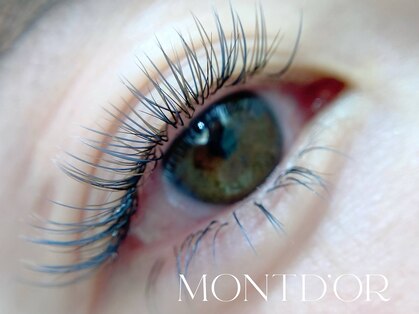 モンドール(MONT D'OR)の写真