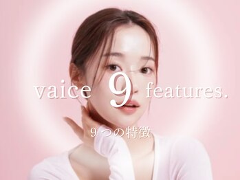 ヴァイス(VAICE)/韓国眉毛/韓国メイク