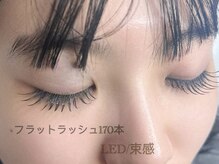 AMK/LED/フラットラッシュ/束感