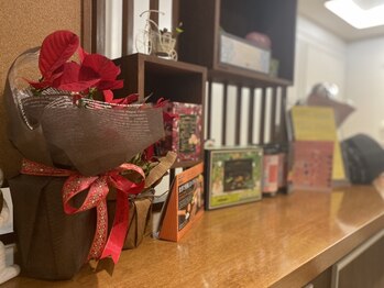 ハリプラス(HariPlus)/ラウンジ[整体/ヘッドスパ/鍼灸]