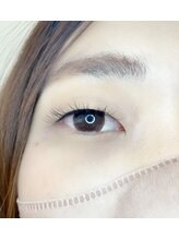 ルピナス(Lupinus)/LEDフラットラッシュ120本