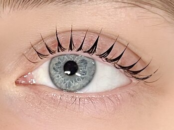 ルシアラッシュブロウ 新宿(LUCIA LASH BROW)/【韓国で話題マスカラパーマ♪】