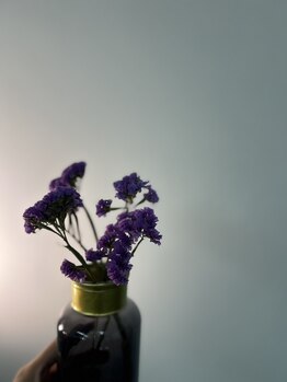 ヴィヴィオドット(vivio.)/店内の植物たち