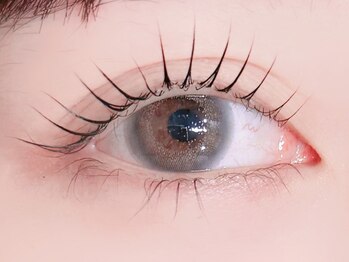 ミモザ シンサイバシ(Mimosa shinsaibashi)/メニュー相談したい方におすすめ