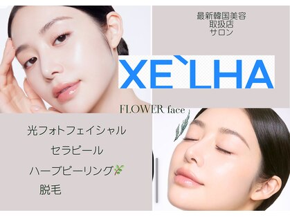 フラワー(FLOWER)の写真