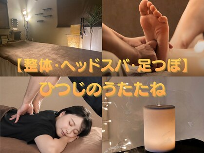 ひつじのうたたねの写真