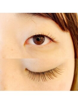 フランセス(Frances)/ブラウンラッシュ