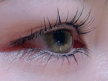 カラン 焼津店(CALIN)/ラスティングカール