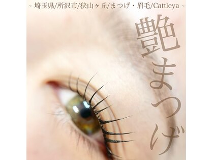 カトレア(Cattleya)の写真