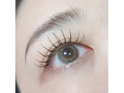 リス(RYS)の写真