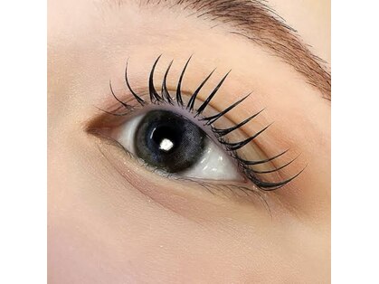 フリル(FRILL)の写真