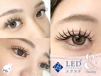 バニーラッシュ(Bunny Lash)の写真/更にモチ倍増！【LEDマツエク】や新技術【アンドヘルシー】人気の束感まつげバインドロックやワンホンも♪