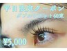【平日限定】ダブルフラットラッシュ60束