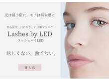 アユミ アイラッシュ サロン プロ ドレ(Ayumi.)/光は最小限に、持ちは最大限に☆