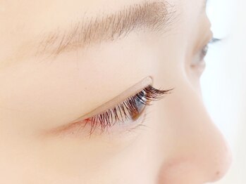 アブニール 大山台店(AVENIR)/最高級セーブル140本