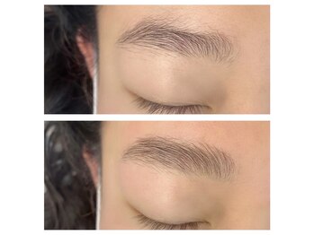 ヴォーグ(Vogue)/ハリウッドブロウリフト/HBL