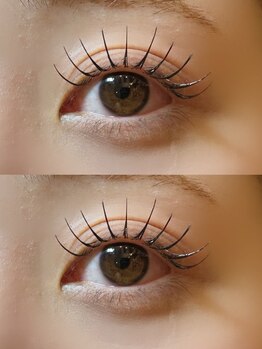 ラビィ アイラッシュ(Raviy Eyelash)の写真/【フラットラッシュコーティング仕上げ100本¥4900】思わずドキドキする可愛い目元にデザインします♪