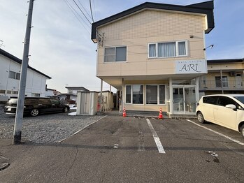 アリ(ARI)/外観