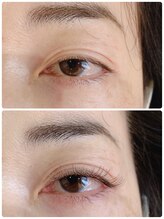 バードアイ(bird eye)/フラットラッシュ（ブラウン）