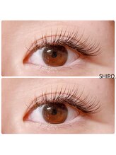 シロ(SHIRO.)/マツエク※セーブル【volume】