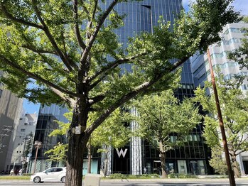 もみかる 心斎橋店/Wホテル/心斎橋/5つ星ホテル