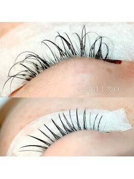 シロ(SHIRO)/LED 他店付け替え