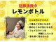 アン 銀座(ann)の写真