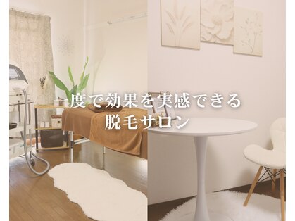 ビプラスの写真