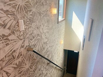 ドットカノア(.Kanoa)/店内写真6