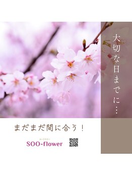 スーフラワー(SOO-flower)/まだまだ間に合う