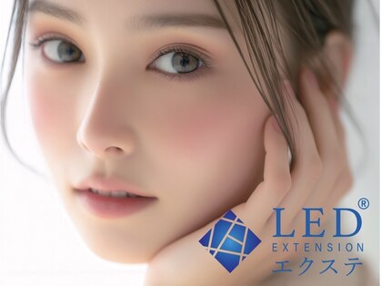 クレアトゥール 華の写真