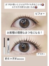 カランコエ(Kalanchoe)/ラッシュアデイクト効果