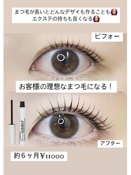 カランコエ(Kalanchoe)/ラッシュアデイクト効果