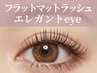 フラットラッシュ【 エレガント】160～180本 ¥8,000