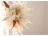 【軽くて自然な濃さ♪】フラットラッシュエクステ《100本》　¥7500→¥5800