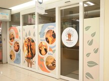 ティーツリー(tea tree)/tea tree 外観