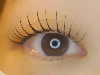 エンビー(Envy)の写真/【エクパーマ】目元そのものにボリューム感をプラス♪ナチュラルな可愛らしい印象を引き出します☆