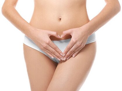 プレジールの写真