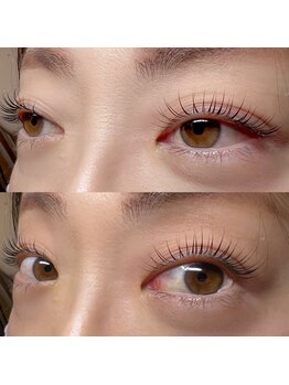 ローリエ/マツエク|マツエク|マツエク|