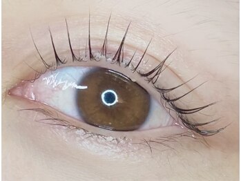 アルム(Areume)/パリジェンヌラッシュリフト