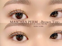 ルシアラッシュブロウ 自由が丘(LUCIA LASH BROW)/マスカラパーマ/まつげパーマ