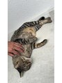 アジエスタ 那覇国際通り店(ASIESTA) 近所の野良猫が癒しです