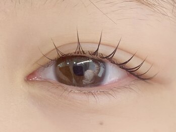 メメ 神戸三宮(meme)/まつげパーマ/神戸/三宮