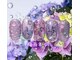 ザネイルベニューの写真