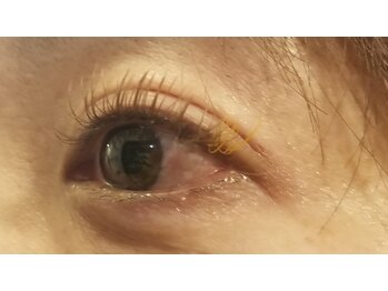 メイユール(meilleurs)/