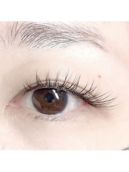 リエ(Lier)/ブラウンフラットラッシュ120本