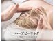 リボーン(Reborn)の写真